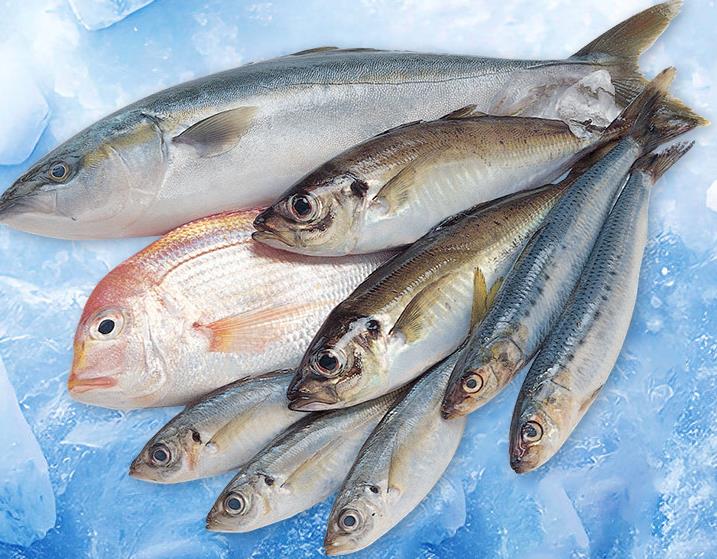 片冰機(jī)在食品加工行業(yè)的具體應(yīng)用場(chǎng)景