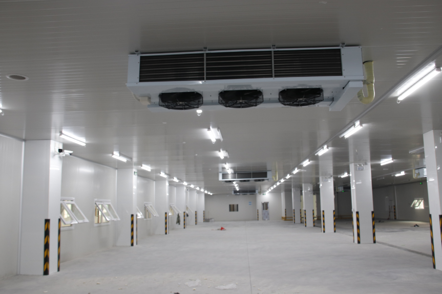 干貨！冷庫(kù)設(shè)備節(jié)能的四種方法