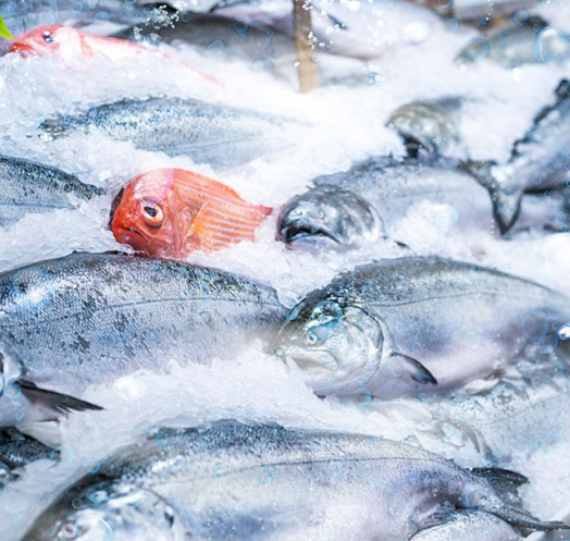 海鮮運(yùn)輸、食品加工