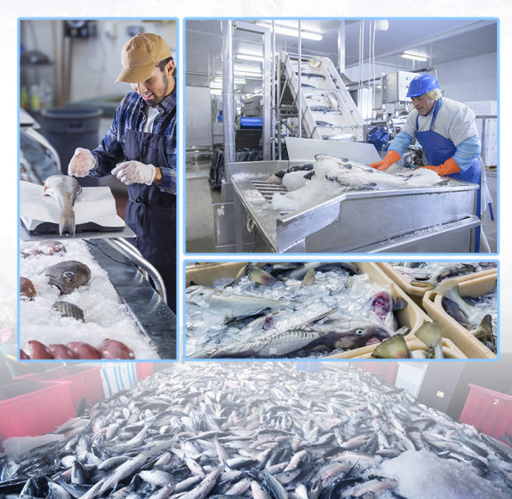 自動(dòng)加水、制冰到脫冰，全過(guò)程不需要人工干涉