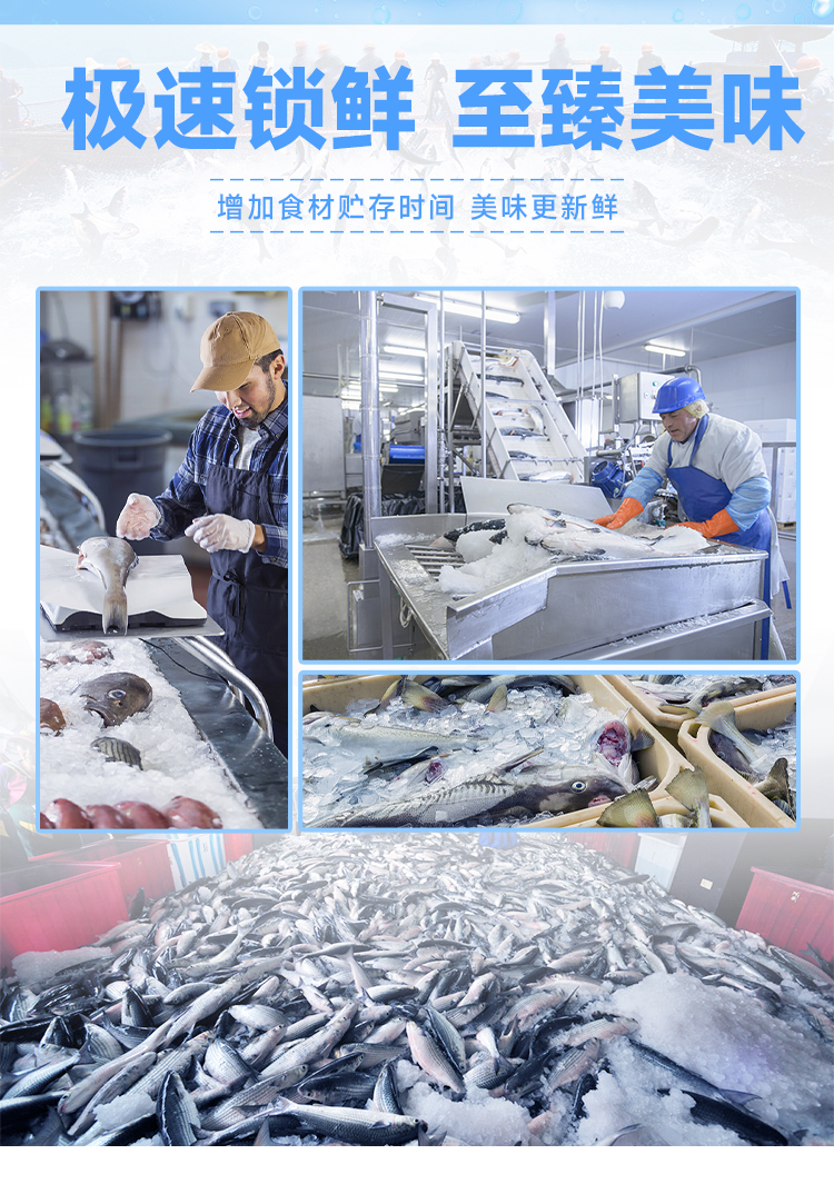 青島日產(chǎn)10噸直冷塊冰機04