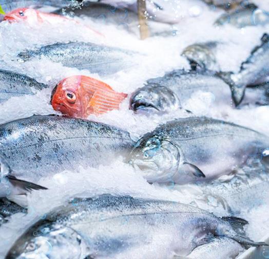 三、適用行業(yè)?